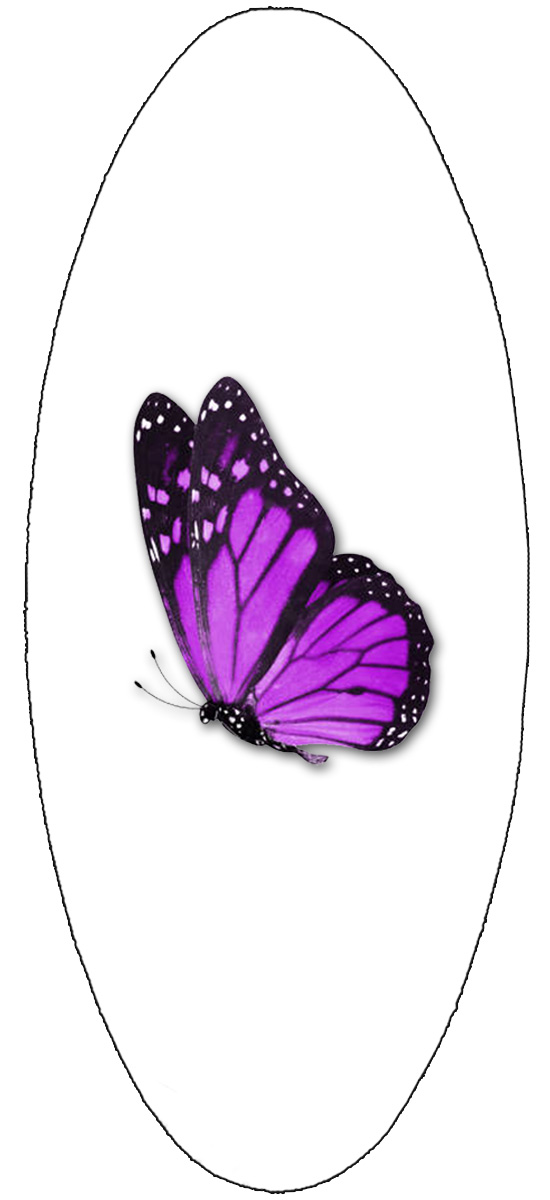 A18 (WT PR Butterfly)